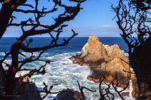 Point Lobos-1863.jpg Point Lobos-1863.jpg
